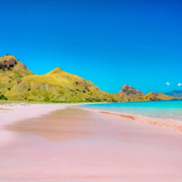 科莫多国家公园图片