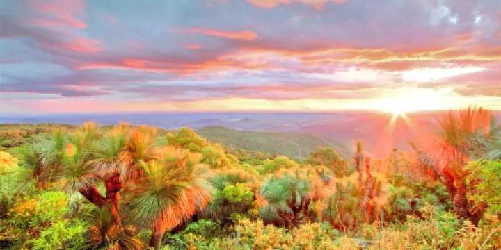 大衛菲里野生動物園