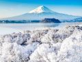 日本