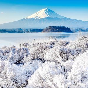 Mount Fuji