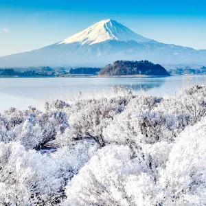 Mount Fuji