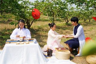 京津冀赏花目的地，河北小城万亩山楂花盛放，这里还是张氏发源地