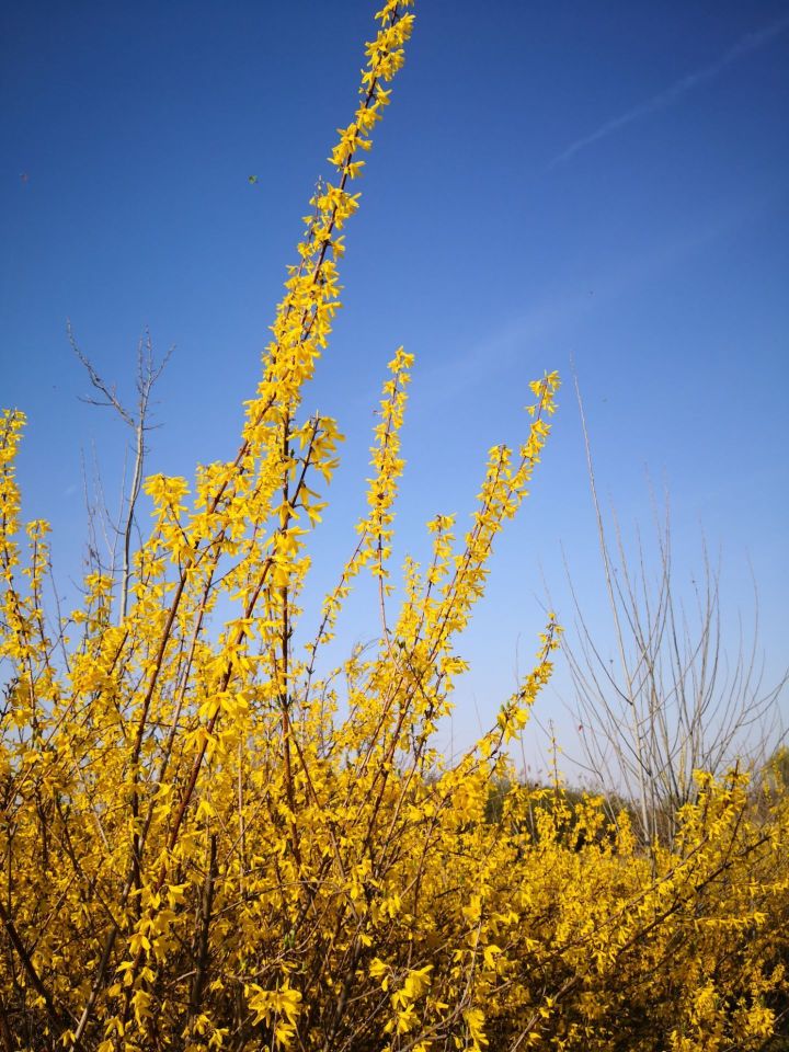 胜利驴蹄子面餐厅图片