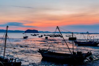 哈仙岛走红网络，王老五带游客赶海，这里竟能捡到海参！