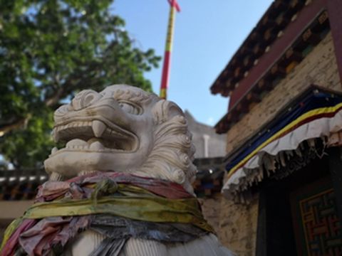 2020初夏周末（2天1晚）与闺蜜出逃距成都最近川西小城—理县/“洋槐花”美拍之旅