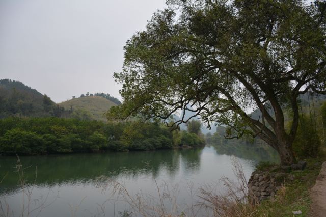 龙潭古村旅行图片 6