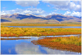 寻找香格里拉—2019年秋,自驾甘南、川西、滇西北(四)花湖、黄河九曲第一湾。