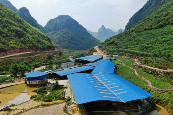 关岭县花江镇利发肉牛养殖基地