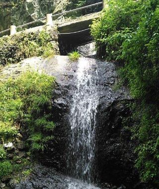 来宁国森林人家农家乐采摘,这些东西大多都没见过,你们采过几种?