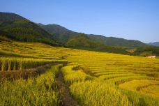 欧家梯田-连山-C-IMAGE