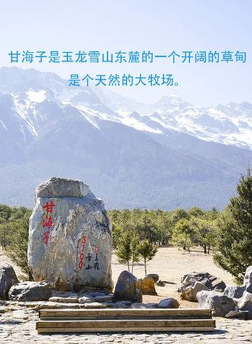 大发打发的飞索道