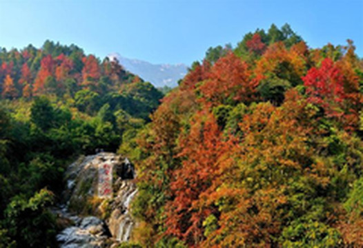 新丰游记图片] 广东新丰最值得一游的八个地方，从5.20开始，对东莞推出专属优惠