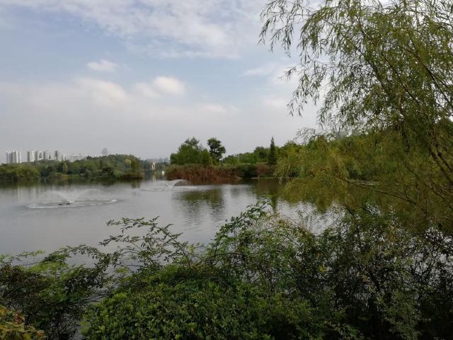 小湾河湿地公园旅行图片 6