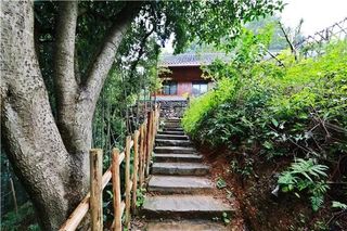 生活即旅行|在桃花源找寻向往的诗与远方