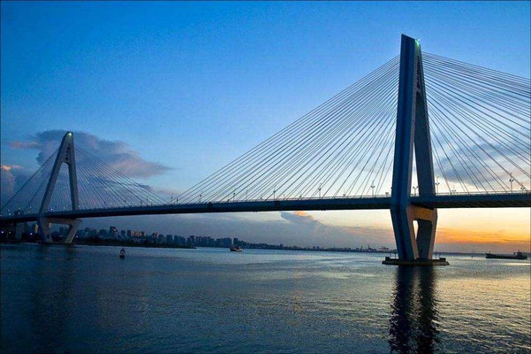 海口的六月很美，让人感受不一样的椰风海韵