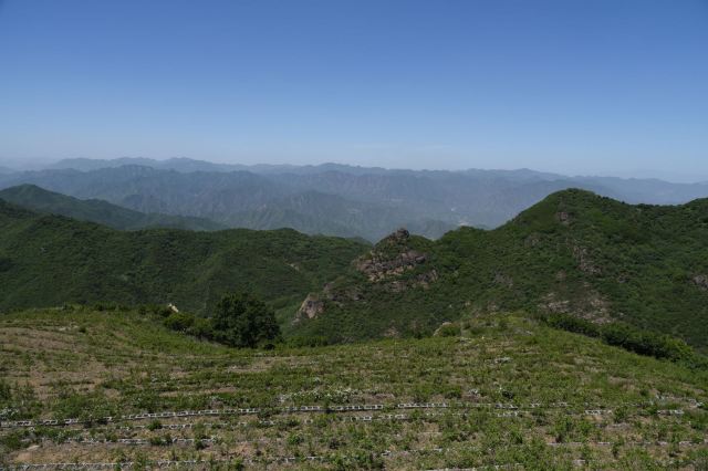 玫瑰谷旅行图片 11