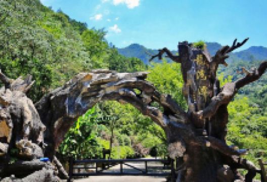 龙湾潭国家森林公园景点图片