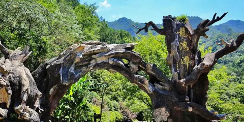 龍灣潭國家森林公園