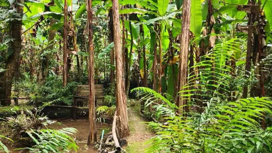Sri Sangwan Waterfall