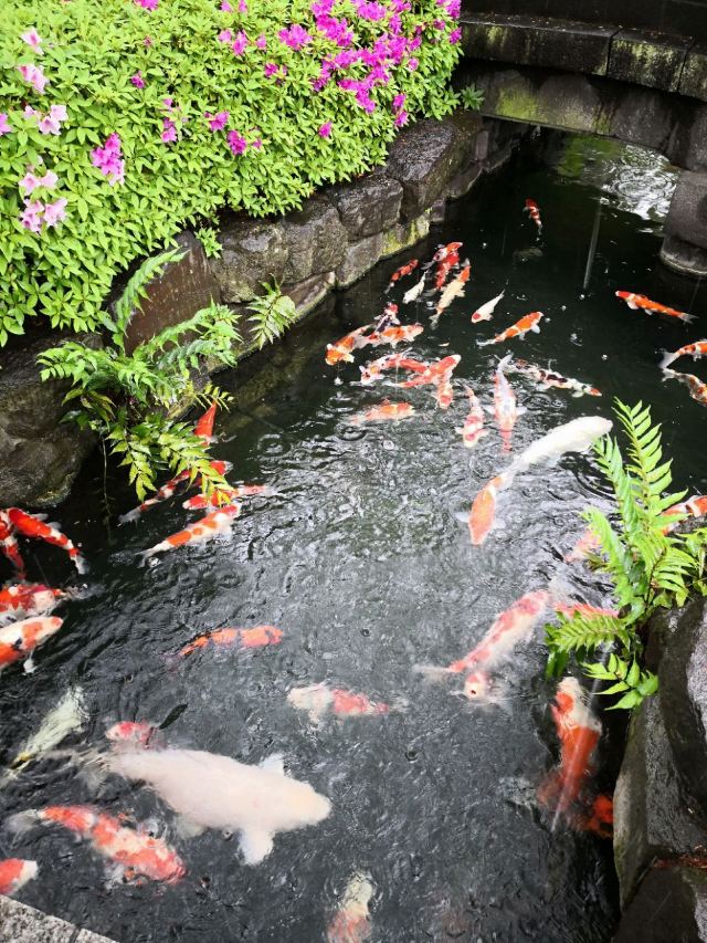 淺草寺