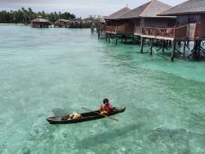 锡帕丹岛-斗湖-沈连荣