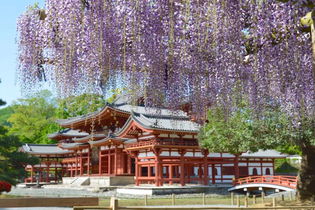 京都·平等院·凤凰堂