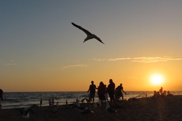 Santa Monica Beach