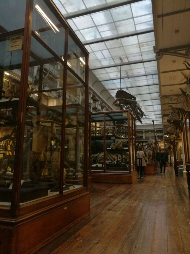 National Library of Ireland