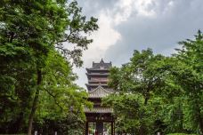 清风阁-合肥-doris圈圈