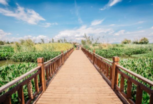 海东湿地公园景点图片