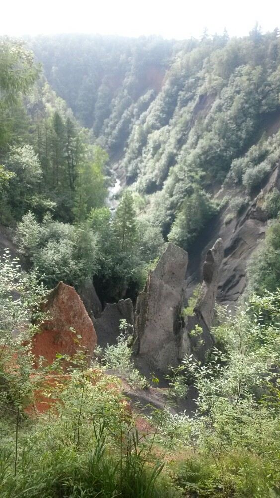 West Slope of Changbai Mountain Scenic Area