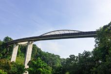 花柏山公园-新加坡-doris圈圈