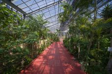 琉宫城蝴蝶园-本部町-doris圈圈