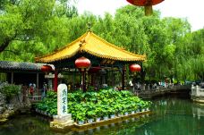趵突泉景区-济南-doris圈圈