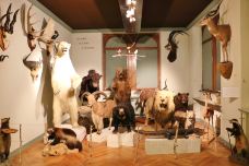 动物博物馆-斯特拉斯堡-doris圈圈