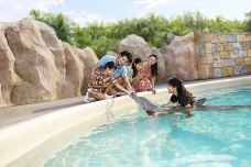 海哺栖息地-新加坡-傻桃子呦西