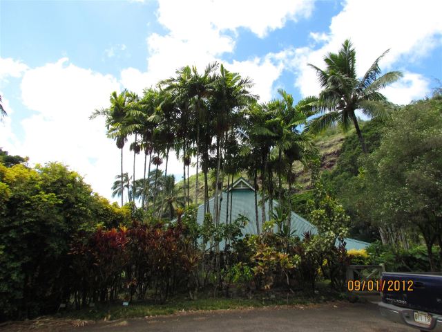 Waimea Valley
