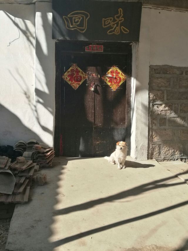 주자위