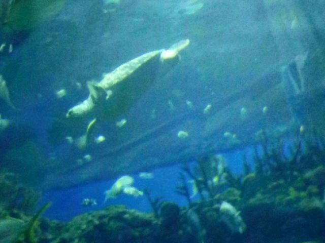 Beijing Zoo