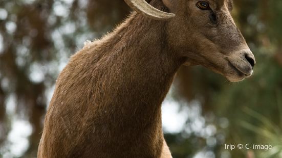 Los Angeles Zoo and Botanical Gardens