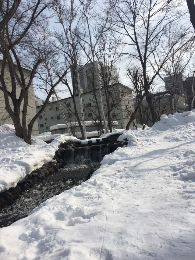 北海道大學