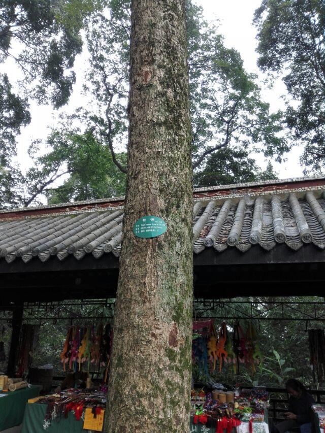 Fuhu Temple