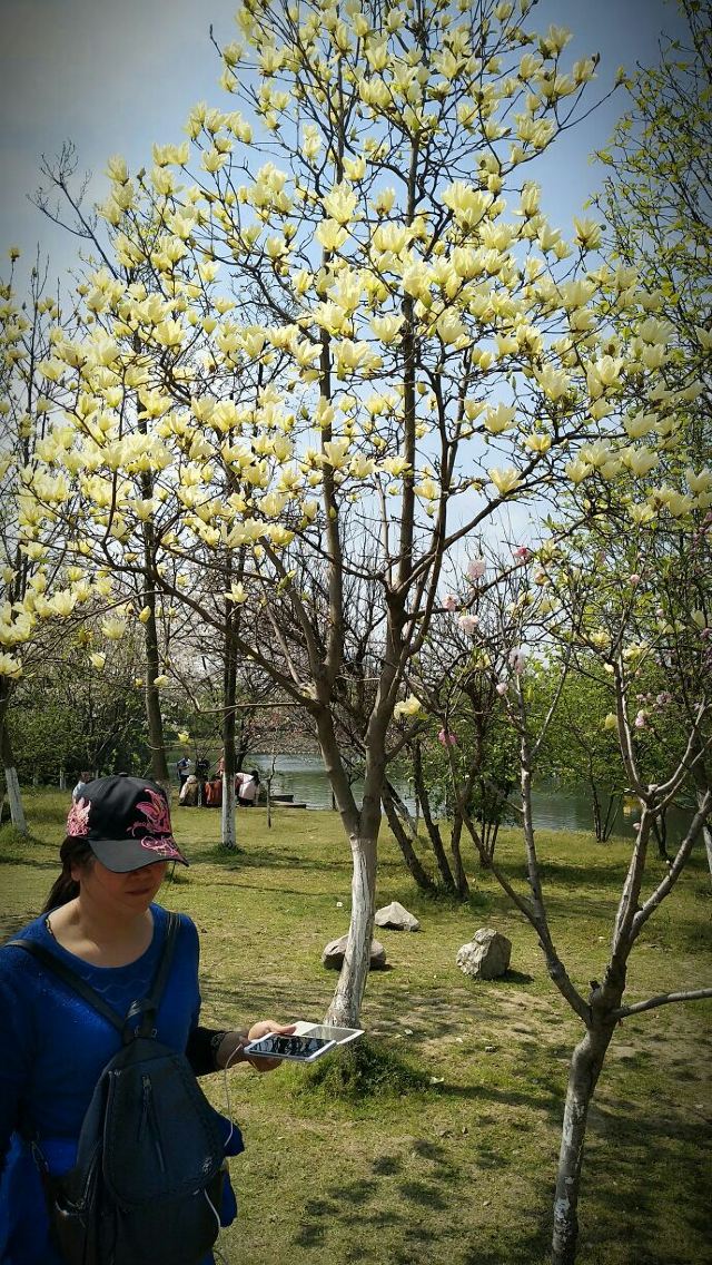 려원
