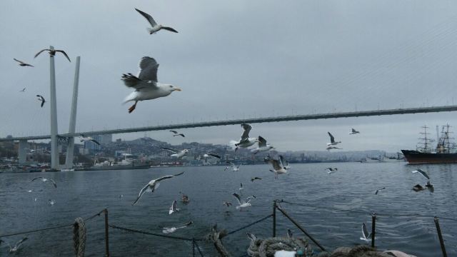 금각만