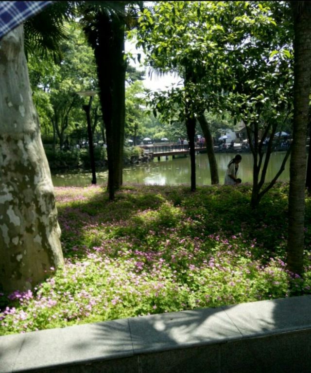 Suzhou Park (West Gate)