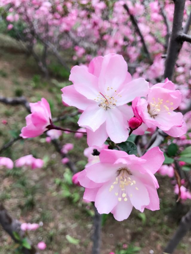 취안청공원