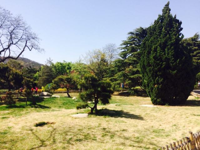 中山公園