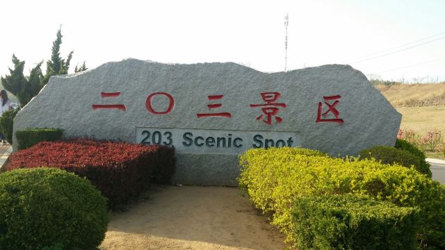 203고지