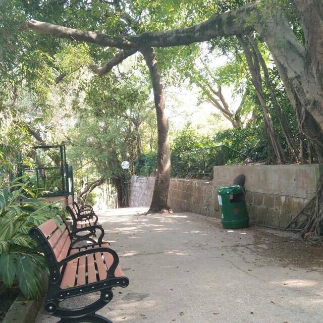 Kowloon Park