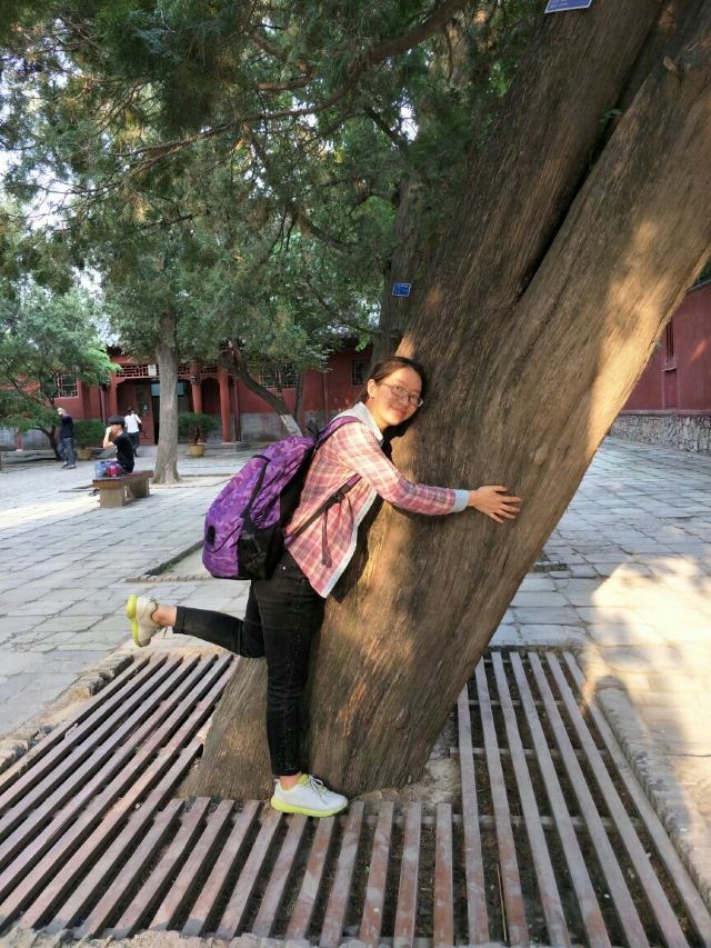 岱廟